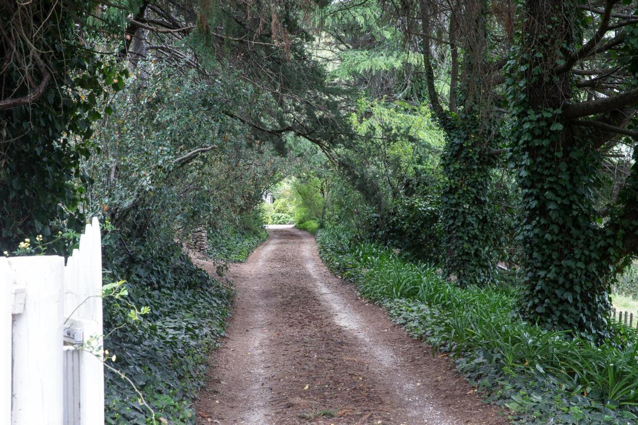 The Leafy Flat Appartamento Havelock North Esterno foto